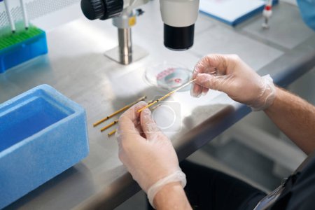 Photo for Top view of laboratory assistant places a straw with embryo in chilled cap - Royalty Free Image