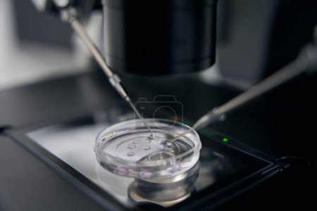 Photo for Working with a micromanipulator in a specialized laboratory, this is the process of fertilizing an egg - Royalty Free Image