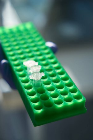 Photo for Samples of labeled biomaterial in a special laboratory unit, test tubes are inserted into cells - Royalty Free Image