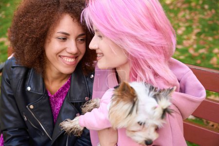 Téléchargez les photos : Deux femmes souriantes de race mixte assises près l'une de l'autre avec leur chien sur le banc du parc - en image libre de droit