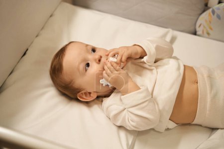Foto de Calma bebé pequeño poner juguete de plástico en la boca mientras está acostado en la cuna - Imagen libre de derechos