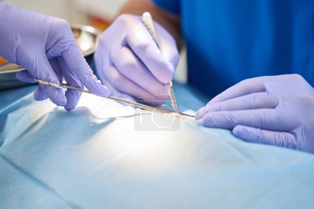 Photo for Close-up photo on the bark shows process of the surgical operation. Hands of surgeon doctor and his assistant during operation - Royalty Free Image