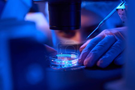 Foto de Primer plano de las manos del genetista en guantes estériles poniendo Petri plato con especímenes en la etapa de microscopio - Imagen libre de derechos