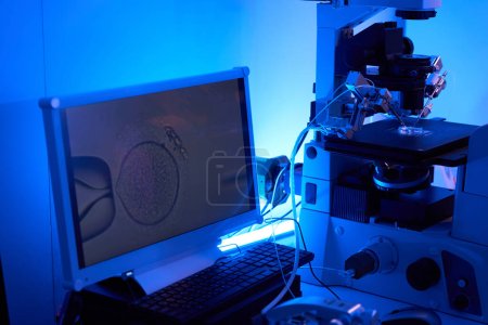 Inyección de espermatozoides en citoplasma de óvulos realizados bajo microscopio equipados con micromanipuladores e inyectores