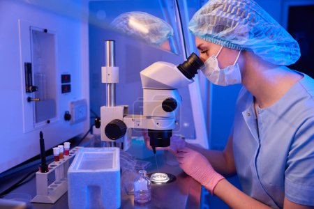 Embrióloga hembra aspirando huevos de gotitas de medios en placa de cultivo bajo microscopio usando micropipeta