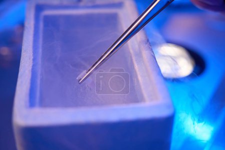 Nahaufnahme eines Wissenschaftlers, der kryogenes Rohr mit Zellproben in Gefriertruhe mit flüssigem Stickstoff taucht