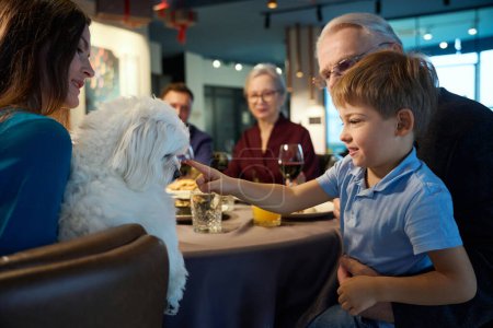Photo for Little boy patting dog while celebrating New Years eve with his family in cozy restaurant - Royalty Free Image