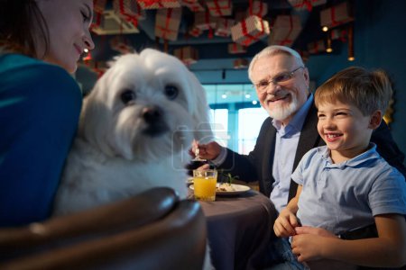 Téléchargez les photos : Homme âgé avec petit garçon regardant chien tout en célébrant les vacances d'hiver dans un restaurant festif confortable - en image libre de droit