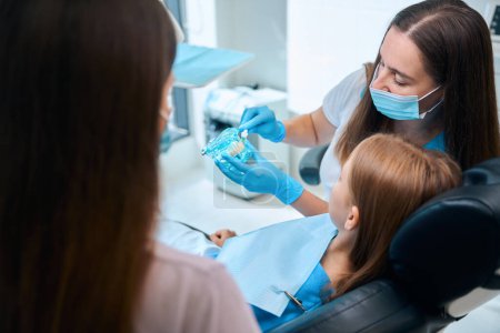 Foto de Higienista médico enseña a una chica a cepillarse los dientes correctamente, una mujer utiliza un modelo de entrenamiento de la dentición - Imagen libre de derechos