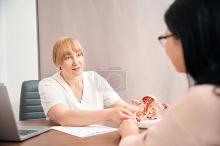 Photo for Young woman visiting gynecologist office to plan her pregnancy, qualified practitioner explaining process of fertilization and health check-up showing vagina model - Royalty Free Image