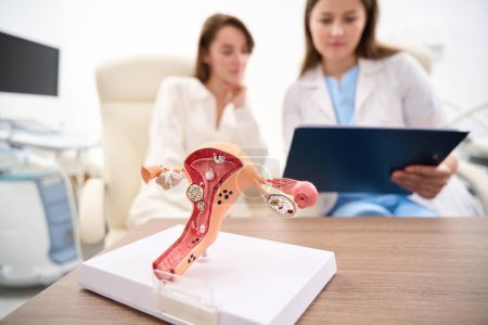 Photo for Selective focus of uterus model on table with blurred background of female doctor showing to woman patient her examining results in clinic. Concept of pregnancy and maternity - Royalty Free Image