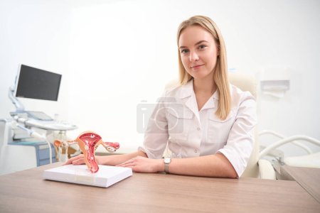 Foto de Ginecóloga caucásica sentada en la mesa con modelo de útero y mirando la cámara en la clínica. Concepto de asistencia sanitaria - Imagen libre de derechos
