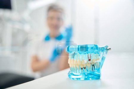 Foto de Plástico modelo 3d transparente de mandíbula acostado en el escritorio en el consultorio del dentista, demostración visual al paciente de enfermedades dentales y métodos de su tratamiento - Imagen libre de derechos