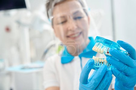 Foto de Mujer sonriente dentista en escudo facial transparente sosteniendo modelo de demostración 3d de dientes con canales radiculares visibles, dentaduras postizas, implantes y coronas, demostración de enfermedad dental - Imagen libre de derechos