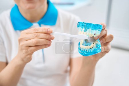 Téléchargez les photos : Gros plan femme expérimentée hygiéniste dentaire brossage prothèses dentaires et implants dentaires avec brosse à dents, soins dentaires préventifs, bonne hygiène buccodentaire - en image libre de droit
