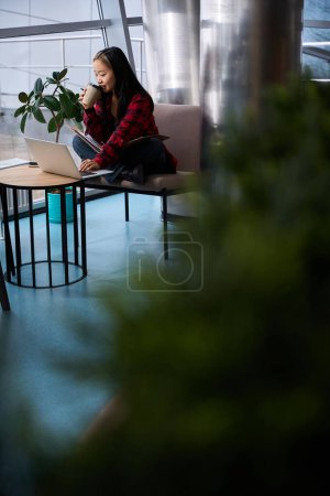Téléchargez les photos : Jeune asiatique concentrée employée informatique boire du café de tasse et regarder ordinateur portable sur la chaise au bureau dans le bureau de coworking. Concept de travail indépendant ou à distance moderne - en image libre de droit
