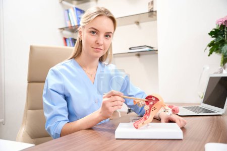 Photo for Female caucasian gynecologist showing uterus model at table and looking at camera at desk in clinic. Concept of pregnancy and paternity - Royalty Free Image