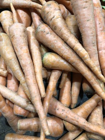 Téléchargez les photos : Gros plan d'une collection de grandes et longues carottes - en image libre de droit