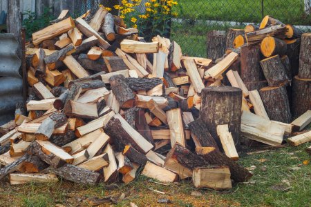 Photo for Background of firewood. Preparation of firewood for the winter. The place for the felling of firewood - Royalty Free Image