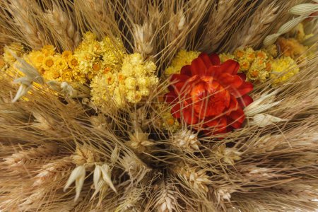 Photo for Didukh. Fragment close-up. Ukrainian Christmas decoration and traditional symbol. Made of straw of different cereals and flowers. - Royalty Free Image