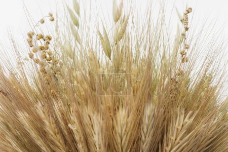 Photo for Didukh. Fragment close-up. Ukrainian Christmas decoration and traditional symbol. Made of straw of different cereals - Royalty Free Image