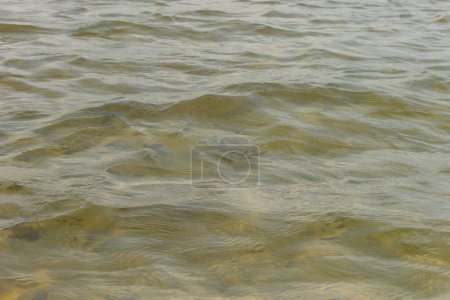 Photo for Waves and glare on the surface of the water. Shallow. Lake. Background - Royalty Free Image