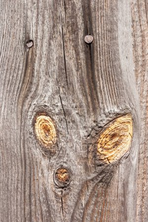 Holzstruktur mit harzigen Ästen. Textur, Nahaufnahme, Hintergrund