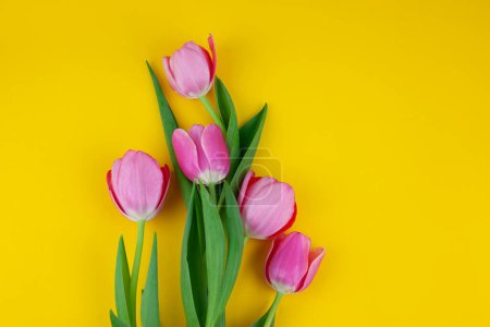 Photo for Pink tulips on a yellow background. bouquet of pink tulips with copy space. Mothers Day. Arrangement of flowers. Floral spring background. top view - Royalty Free Image