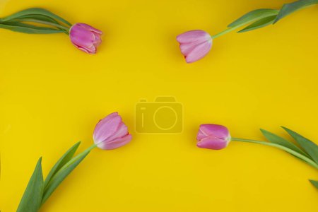 Photo for Pink tulips on a yellow background. bouquet of pink tulips with copy space. Mothers Day. Arrangement of flowers. Floral spring background. top view - Royalty Free Image