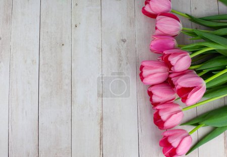 Photo for Beautiful tulips on wooden background. - Royalty Free Image