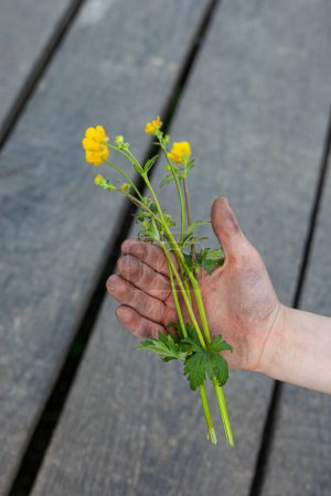Photo for Childrens hands holding flowers on a sunny day. - Royalty Free Image