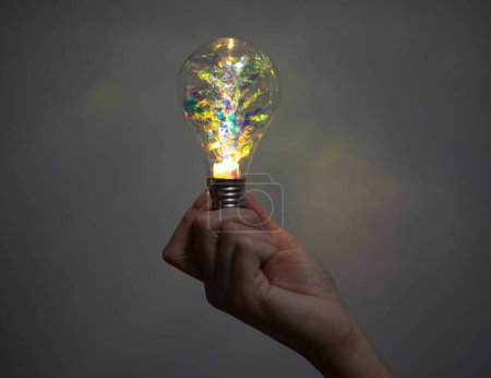 Photo for A new creative idea. A woman is holding a light bulb - Royalty Free Image