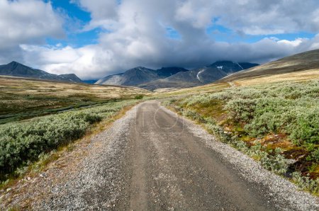 Rondane National Park - a dirt road in the mountains between meadows and hills in Norway in the north of Europe