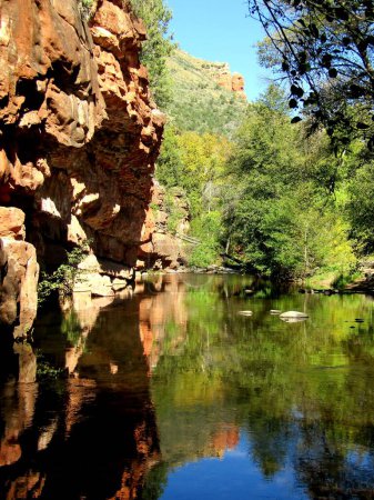 Photo for Water reflection of Oak Creek Canyon - Royalty Free Image