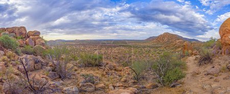 Panoramic picture of Damaraland in Namibia under a cloudy sky during the day in summer