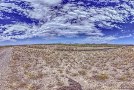 Foto de Imagen panorámica del Kalahari namibio con cielo azul y nubes de luz en verano - Imagen libre de derechos