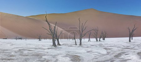 Imagen panorámica de la sal Deadvlei en el desierto de Namib con árboles muertos frente a dunas de arena roja en la luz de la mañana en verano
