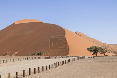 Photo de la célèbre Dune 45 dans le parc national de Soosusvlei en Namibie pendant la journée en été contre un ciel bleu