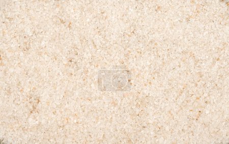 Photo for Highly mineralized coarse-grained rock with visible mineral deposits in rough salt grains. Perfect for adding natural beauty to projects or illustrating geological research and formations. - Royalty Free Image