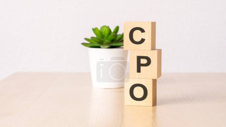 cpo - text on wooden cubes and flower in a pot on background. business concept