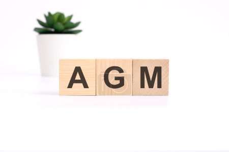 AGM Acrónimo anual de la junta general sobre cubos de madera sobre fondo blanco. concepto de negocio
