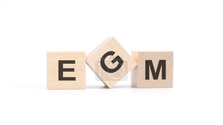 word EGM made with wood building blocks, white background.