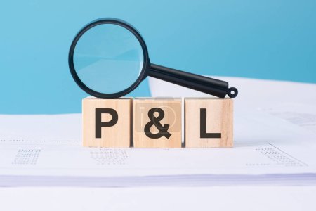 PL word on wooden cubes on a blue background with magnifier and business documents.
