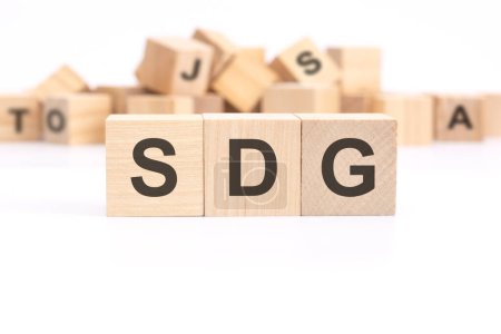 Text SDG - Nachhaltige Entwicklungsziele - auf Holzwürfeln auf weißem Hintergrund geschrieben
