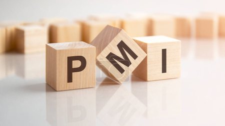 word PMI made with wood building blocks, background may have blur effect