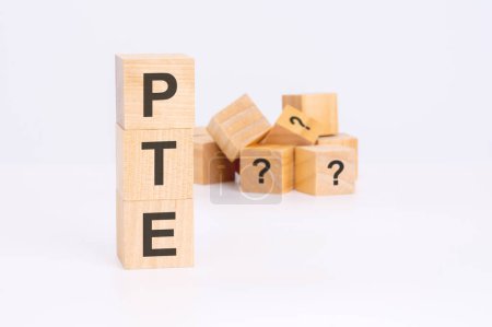 pte word is made of wooden building blocks lying on the white table, business concept