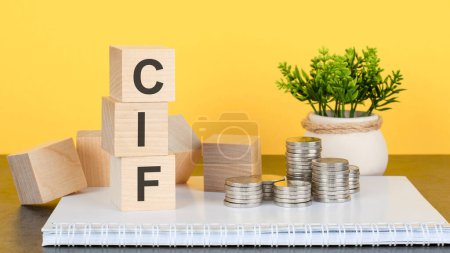 CIF - text on a stack of wooden blocks standing on a notepad with coins, a flower in a pot on a yellow background