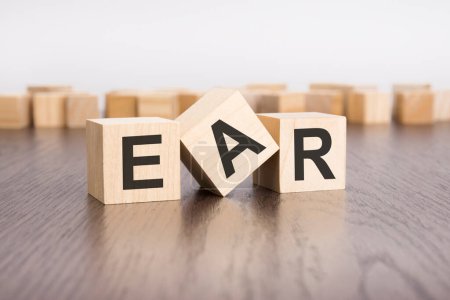 EAR text on wooden cubes - acronym short for Export Administration Regulation. wooden background. foreground