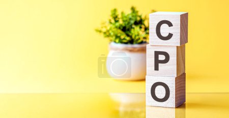 letters of the alphabet of CPO on wooden blocks, green plant on a yellow background. CPO - short for Cost Per Order