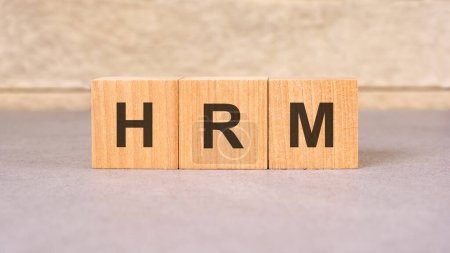 HRM-Text auf Holzblock mit weißem Hintergrund